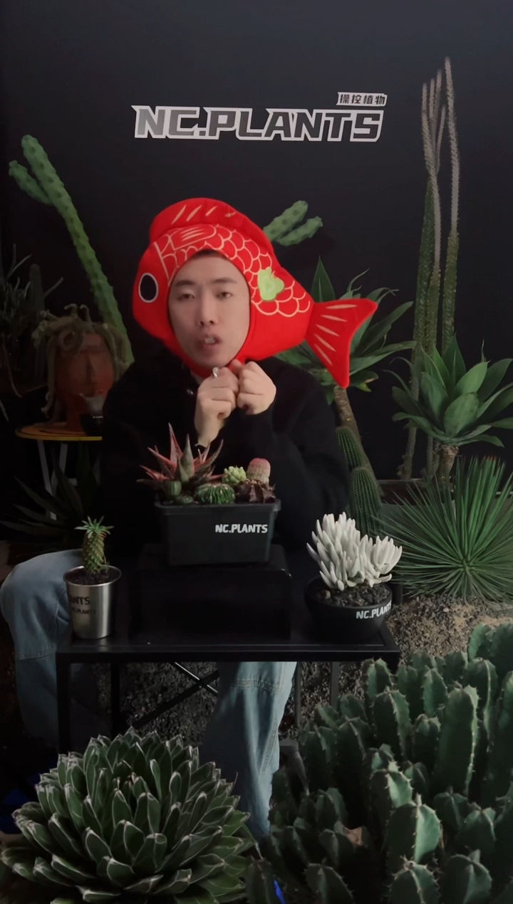 【闪购商品】圣诞黑盒子