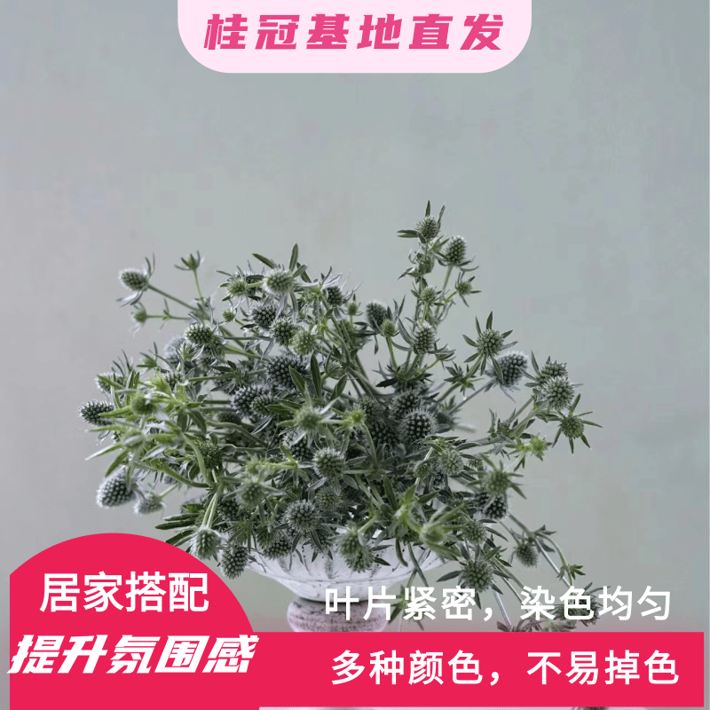【直播间专属】蓝星球永生花 居家氛围感高颜值   摆件简约风