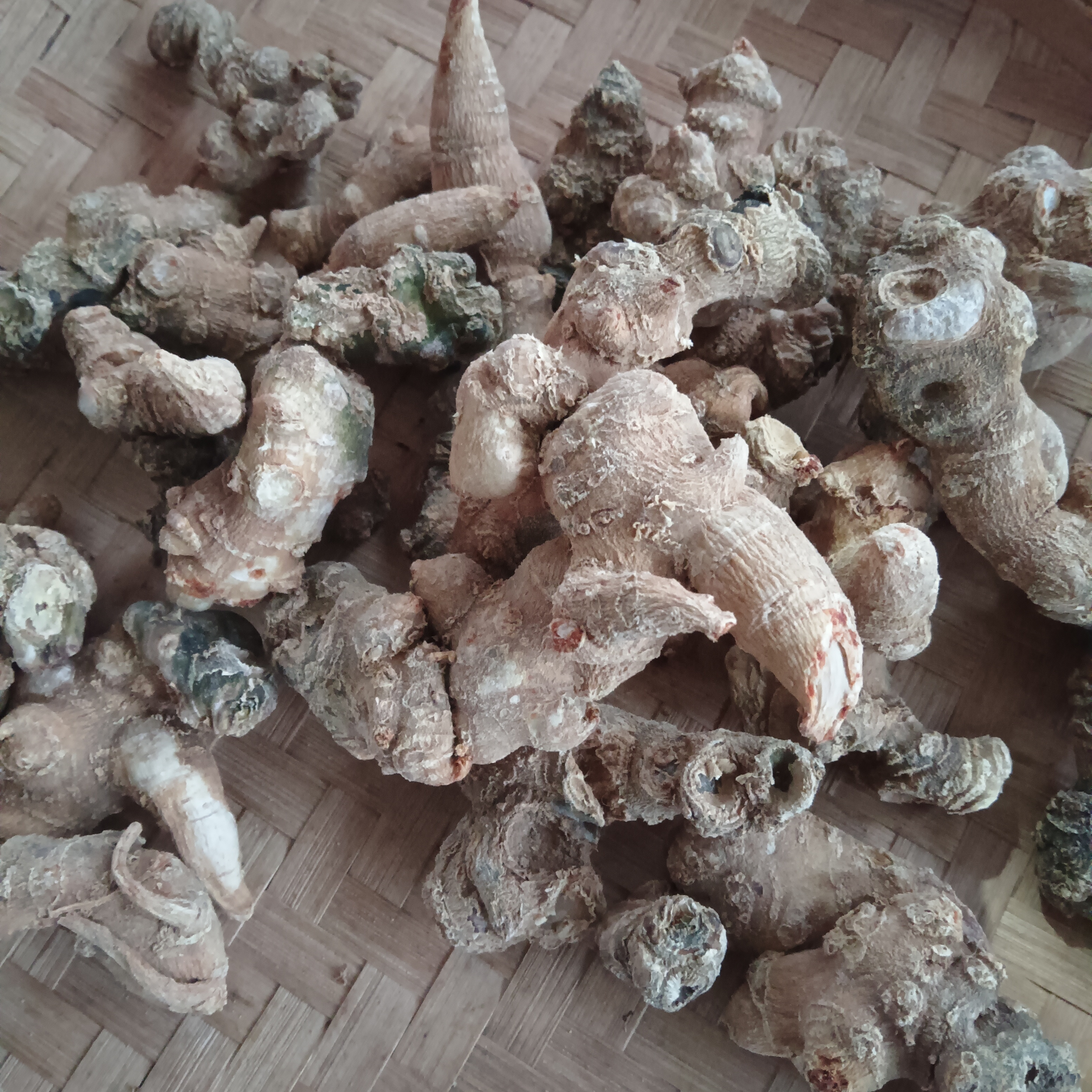 云蕾土特产【三七】云南下山货