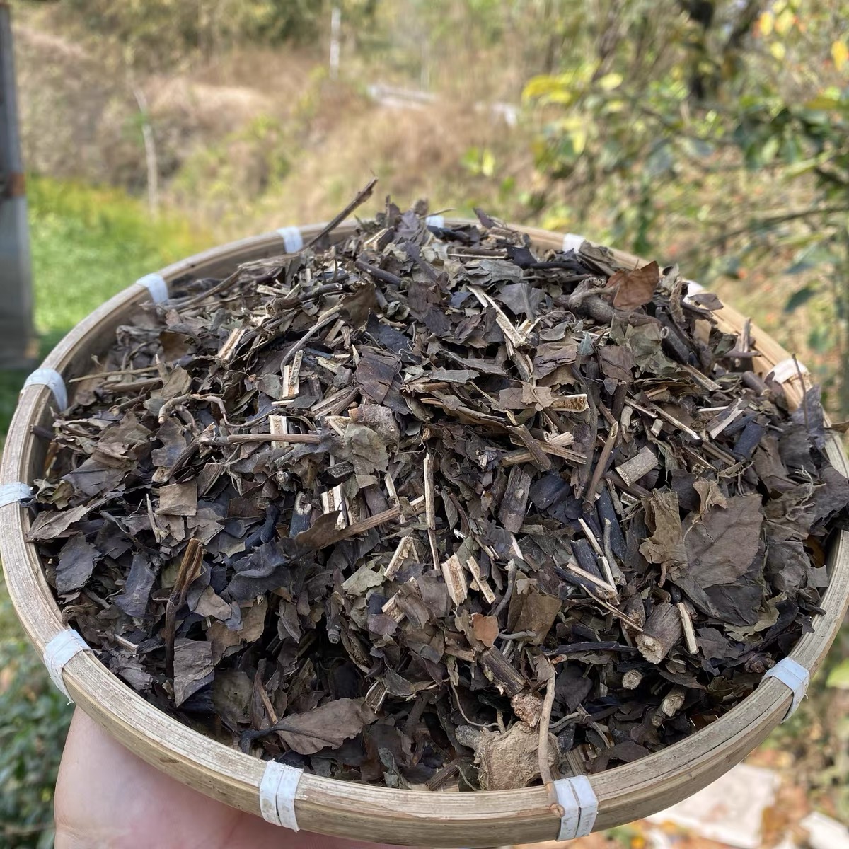 大山小敏【消大宝贝】深山干货消大宝贝消焱大王消大宝贝煮水金线莲