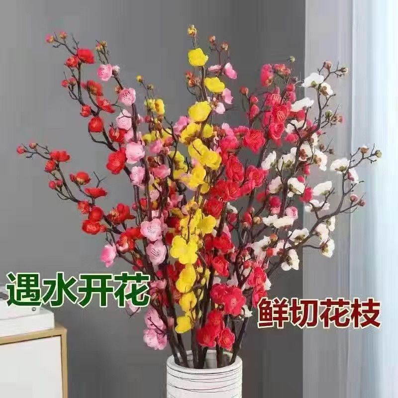 【春节开花】水培腊梅梅花干枝雪遇水开花带花苞冬季耐寒好养花卉