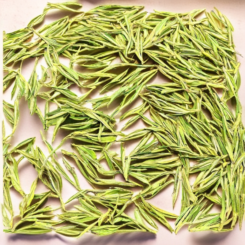 口粮奶白茶安吉产区