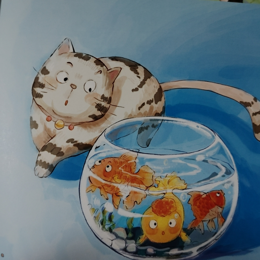 601-800微瑕绘本故事图书 