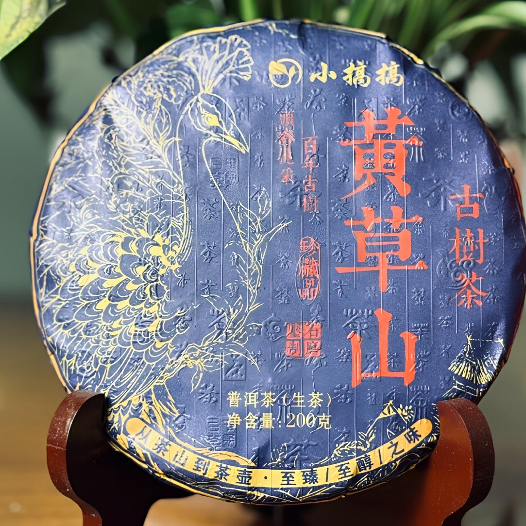 黄草山古树 头春头采