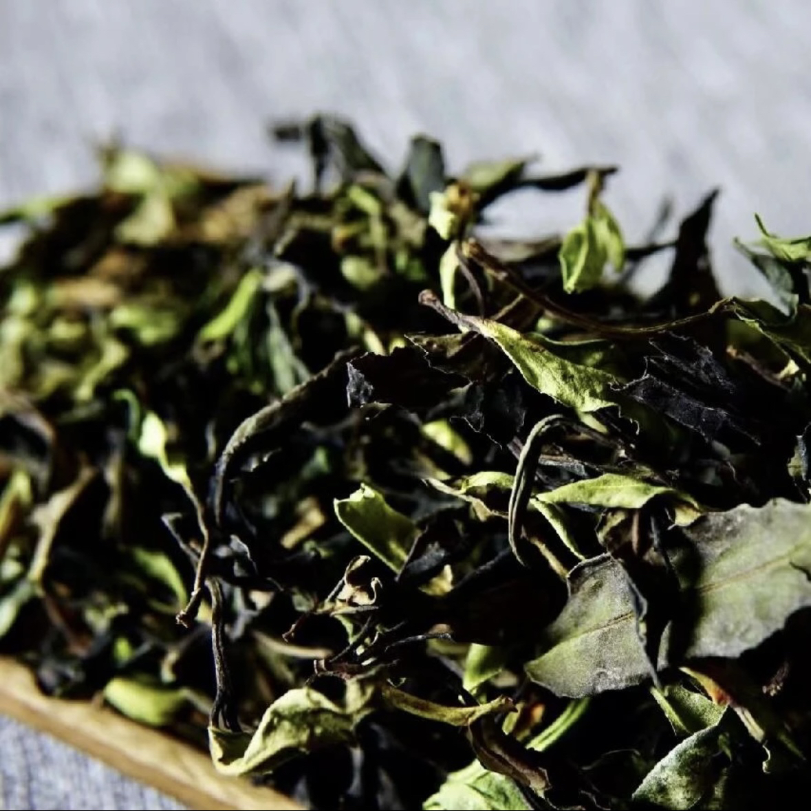 小搞搞茶叶2号白茶散茶 花香浓郁耐泡度高