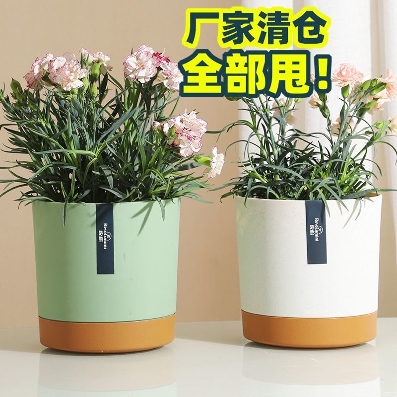 大号环保塑料花盆北欧简约透气自吸水多肉种植盆