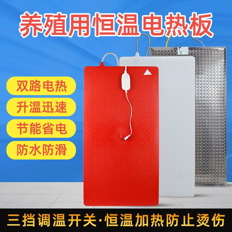 仔猪电热板小猪保温板养猪设备养殖器械 恒温加热板兽用发热加温