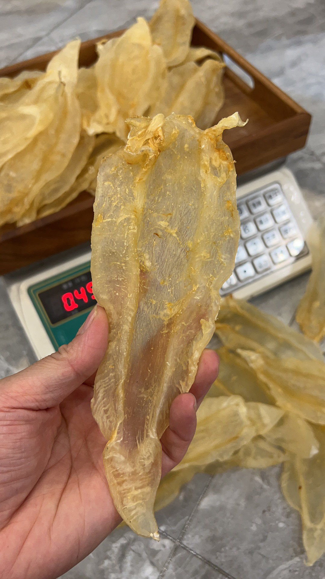 改价连接鱼胶1克