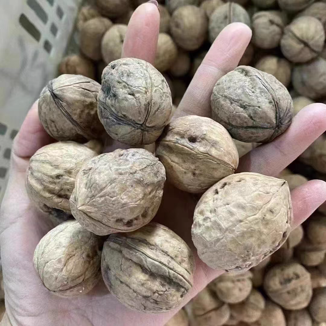 2025年新疆阿克苏185纸皮核桃原生态不清洗3斤/5斤包邮 新疆直发