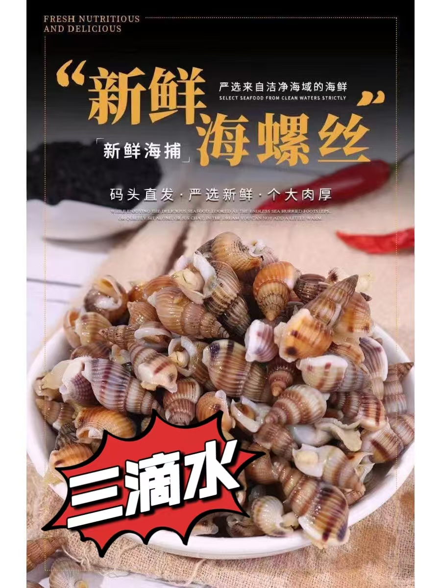 中号（470-560粒每斤）东港鲜活海螺丝海锥包活包肥到家