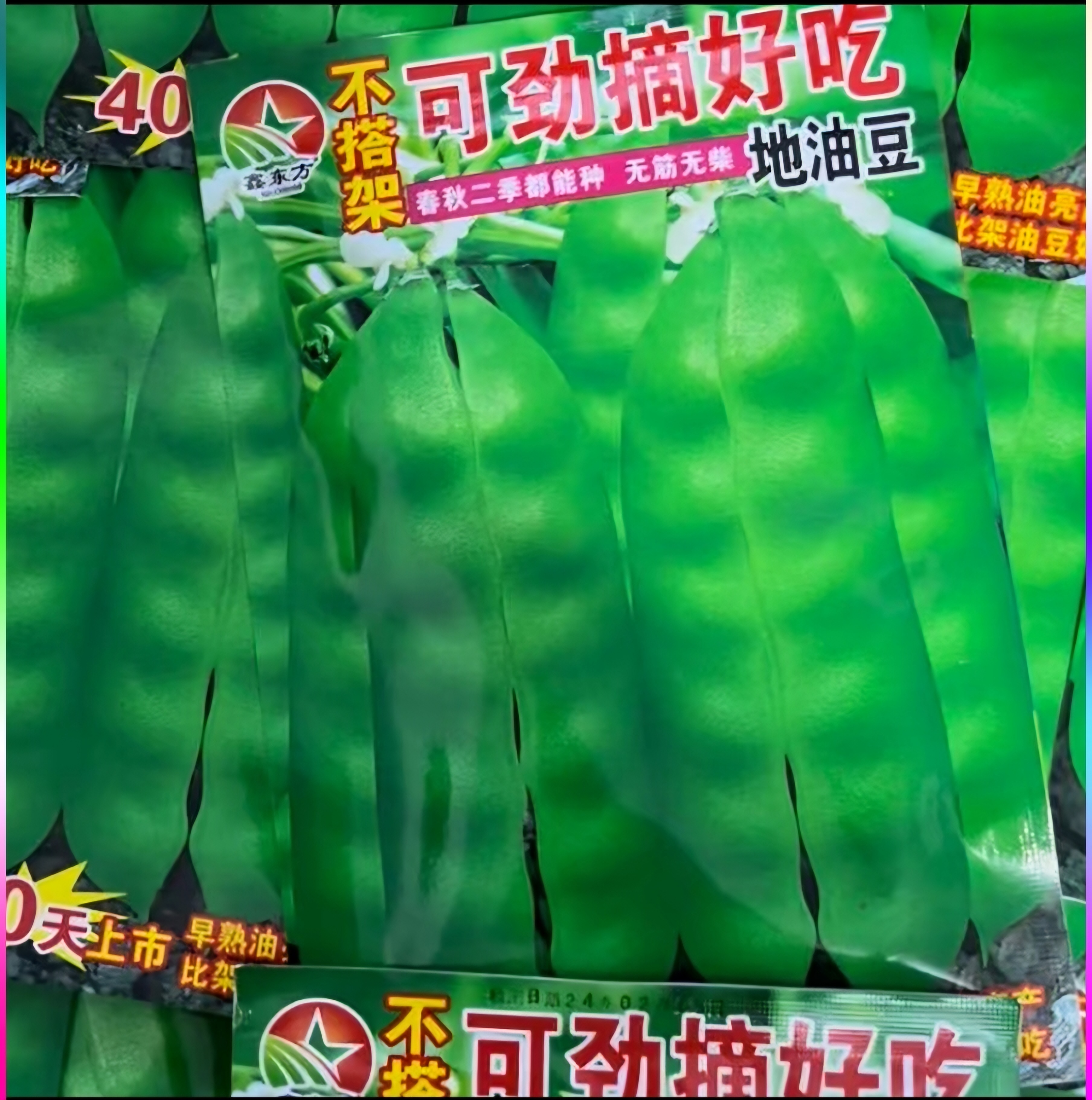 不搭架可劲摘地油豆角种子