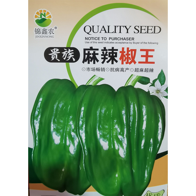 贵族麻辣椒王辣椒种子