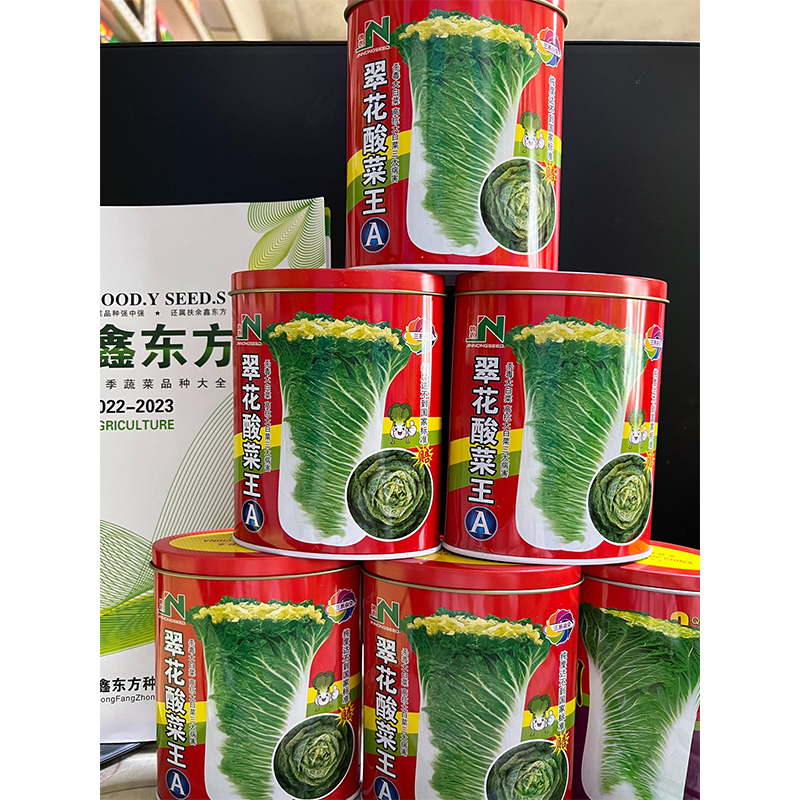 鑫东方种业铁盒装翠花酸菜王A大白菜种子