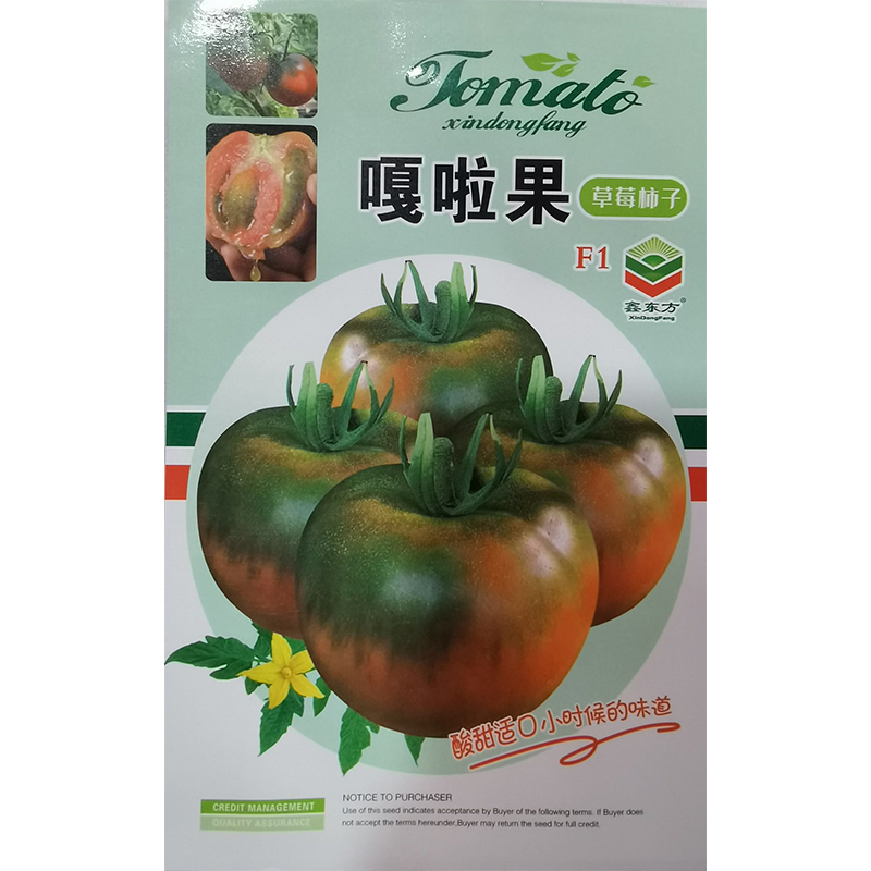 嘎啦果草莓番茄种子