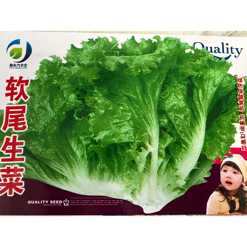 鑫东方种业软尾生菜种子（拍一发二）
