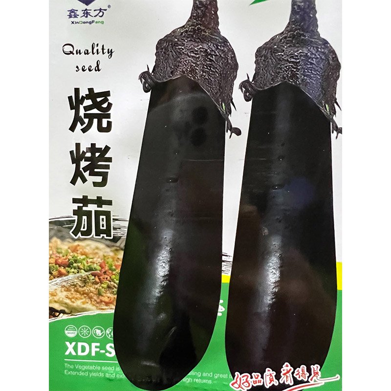 鑫东方种业烧烤茄子种子