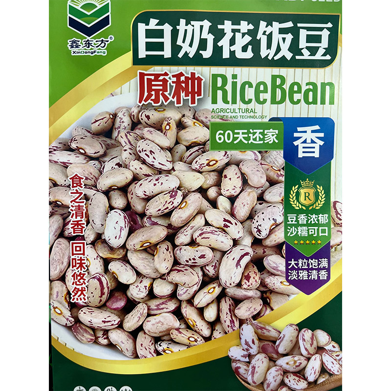 鑫东方种业白奶花饭豆原种种子