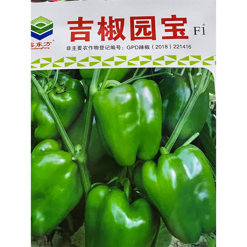 鑫东方种业吉椒元宝辣椒种子