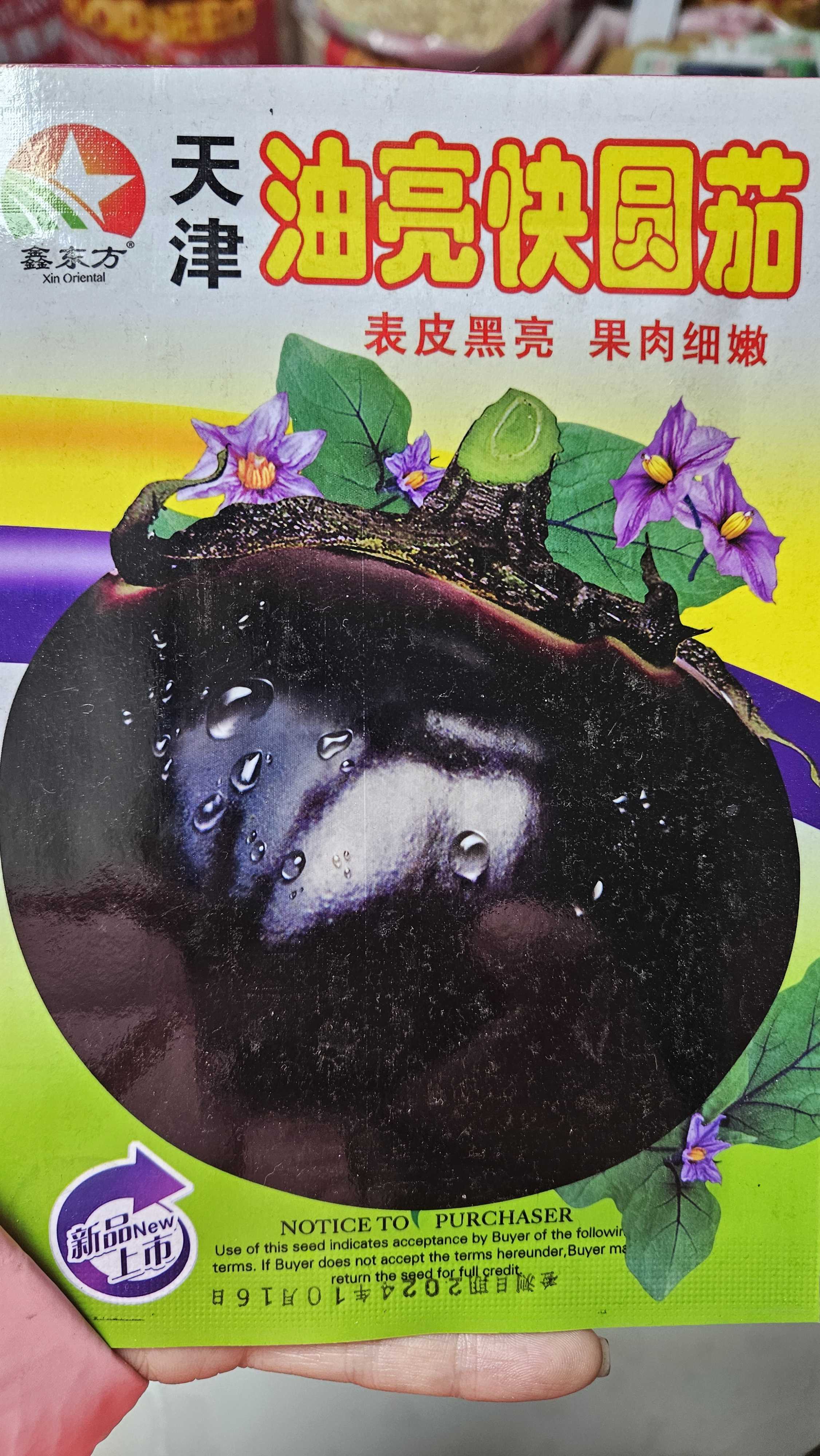 油量快圆茄种子  