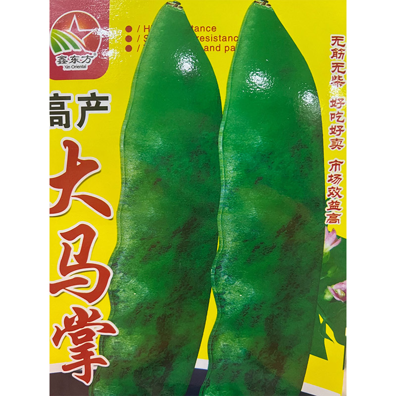 大马掌豆角 种子