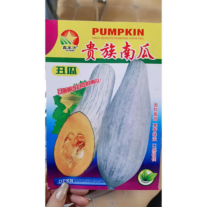 鑫东方贵族南瓜丑瓜种子