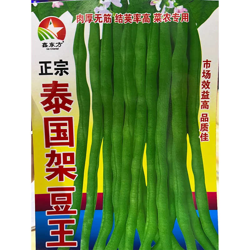 特嫩无筋架豆王豆角种子