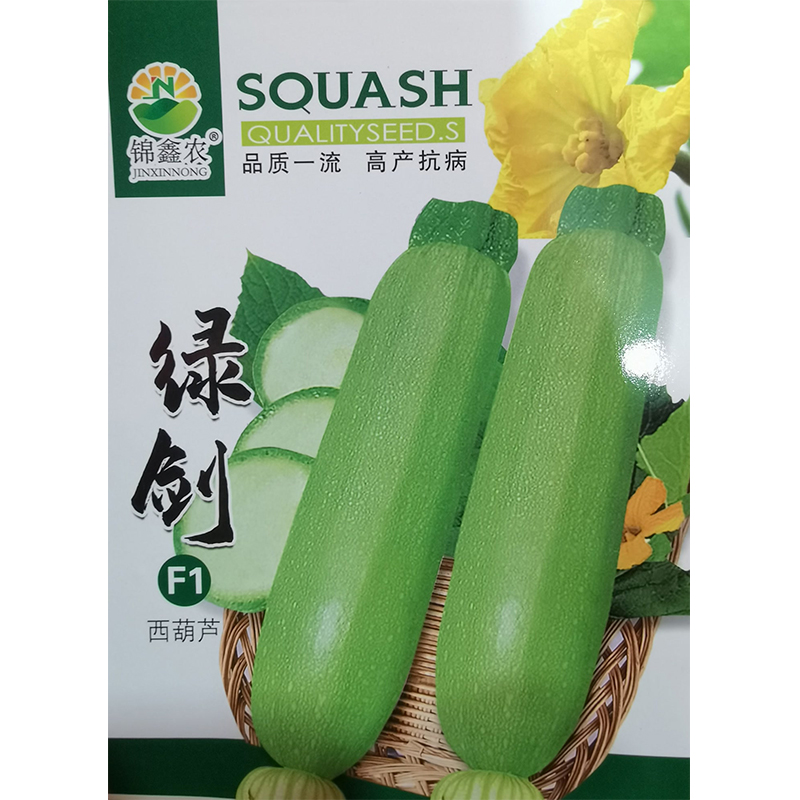 鑫东方种业杂交绿剑西葫芦