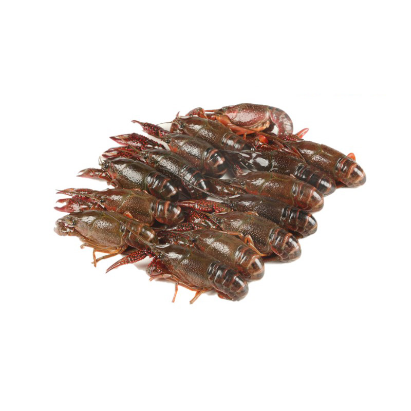 小龙虾中号1.5kg/份(16-30g/只)  小龙虾同城