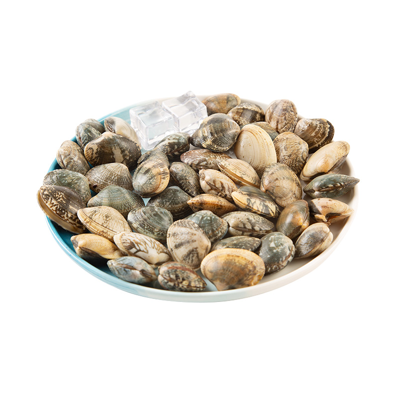 【更大只】鲜活大花蛤500g/份(约30-40粒)