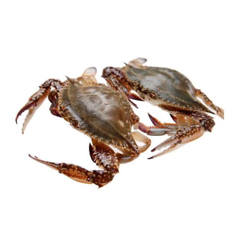 【充氧配送】鲜活梭子蟹（150-250g/只）2只/组