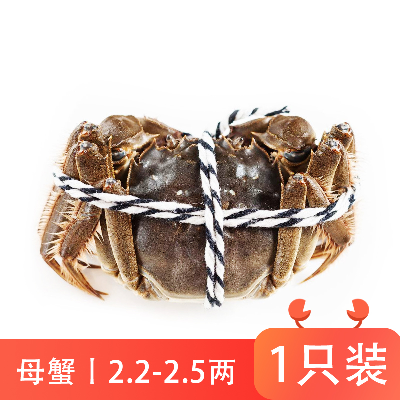 鲜活大闸蟹(母110-125g)/只