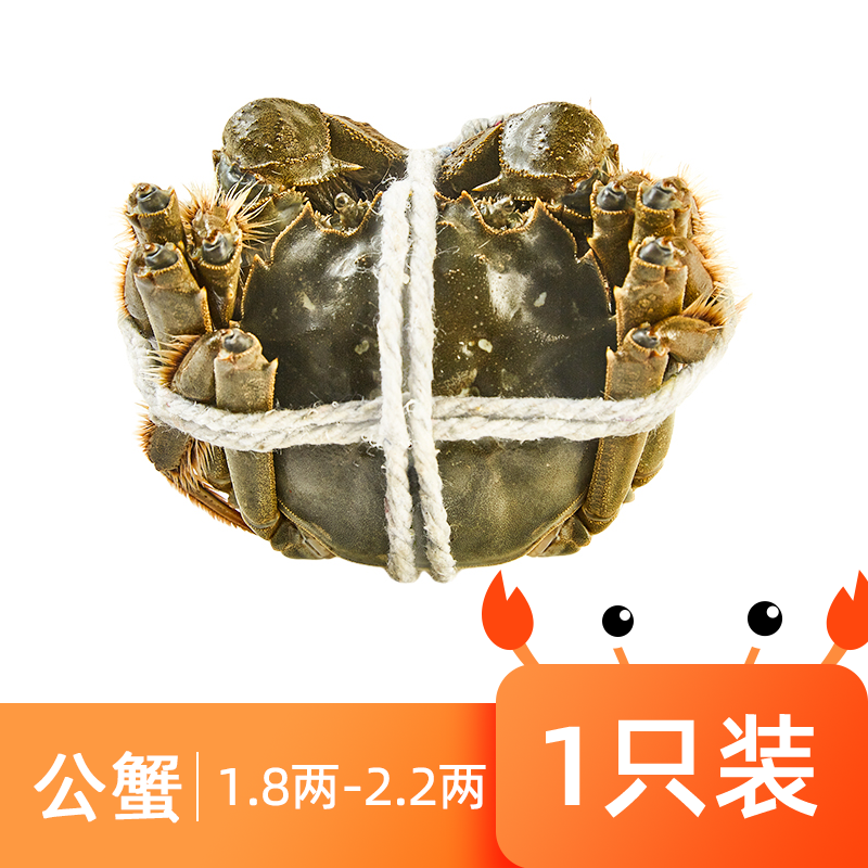 鲜活大闸蟹（公90-110g/只）