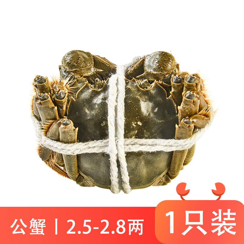 鲜活大闸蟹(公125-140g)/只