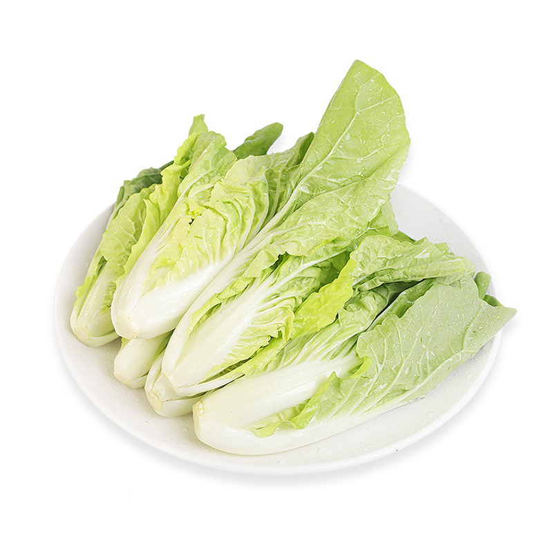 杭白菜苗（高山）250g/份