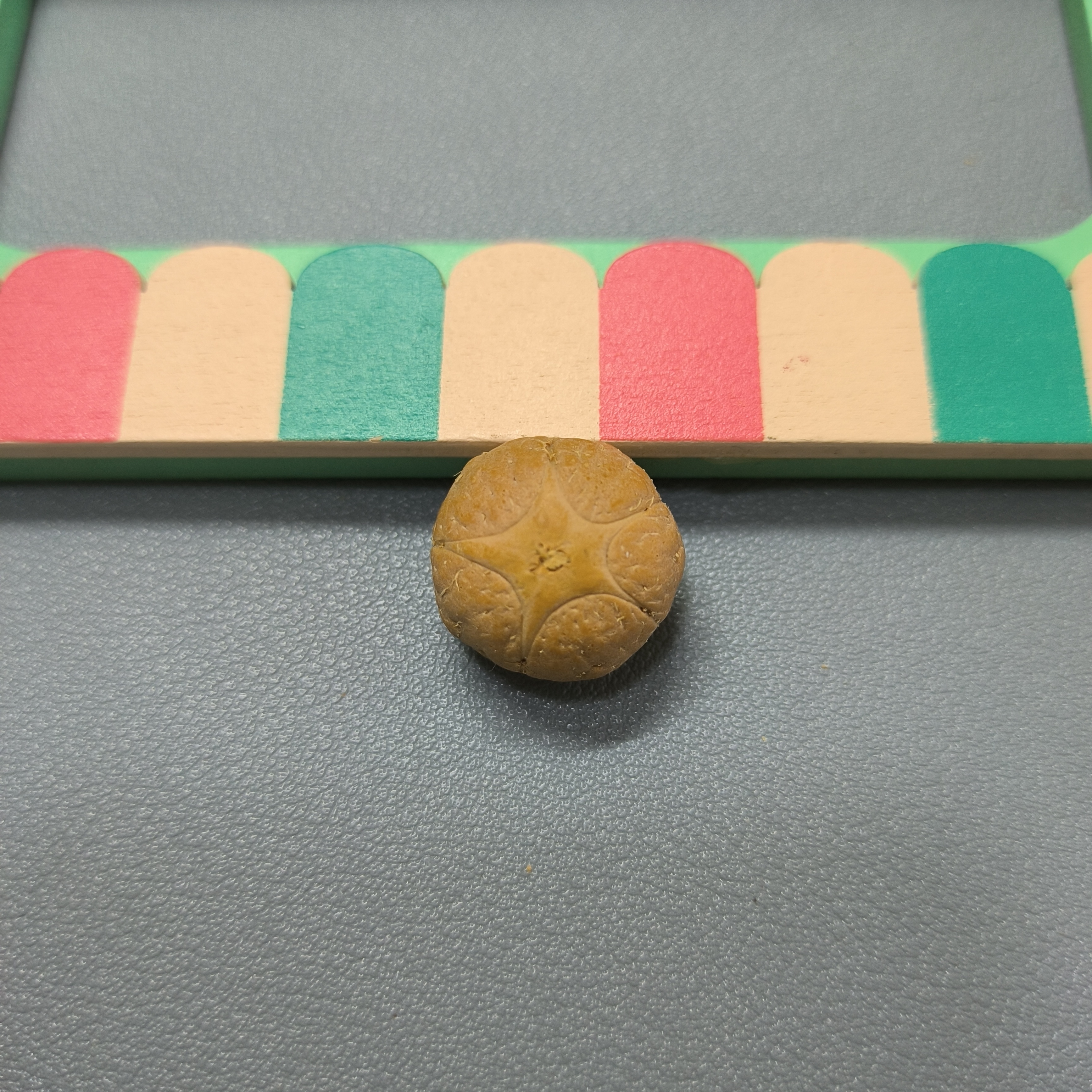 【WF518009】24年新籽直径18mm厚14mm五星单颗尼泊尔凤眼菩提