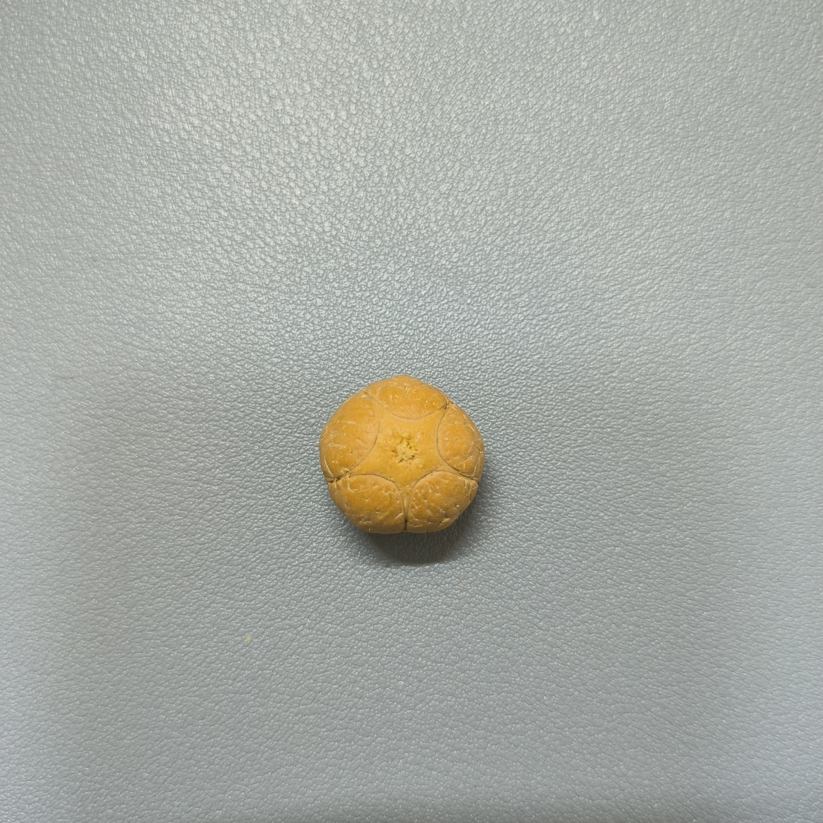 【WF518008】24年新籽直径18mm厚13mm五星单颗尼泊尔凤眼菩提