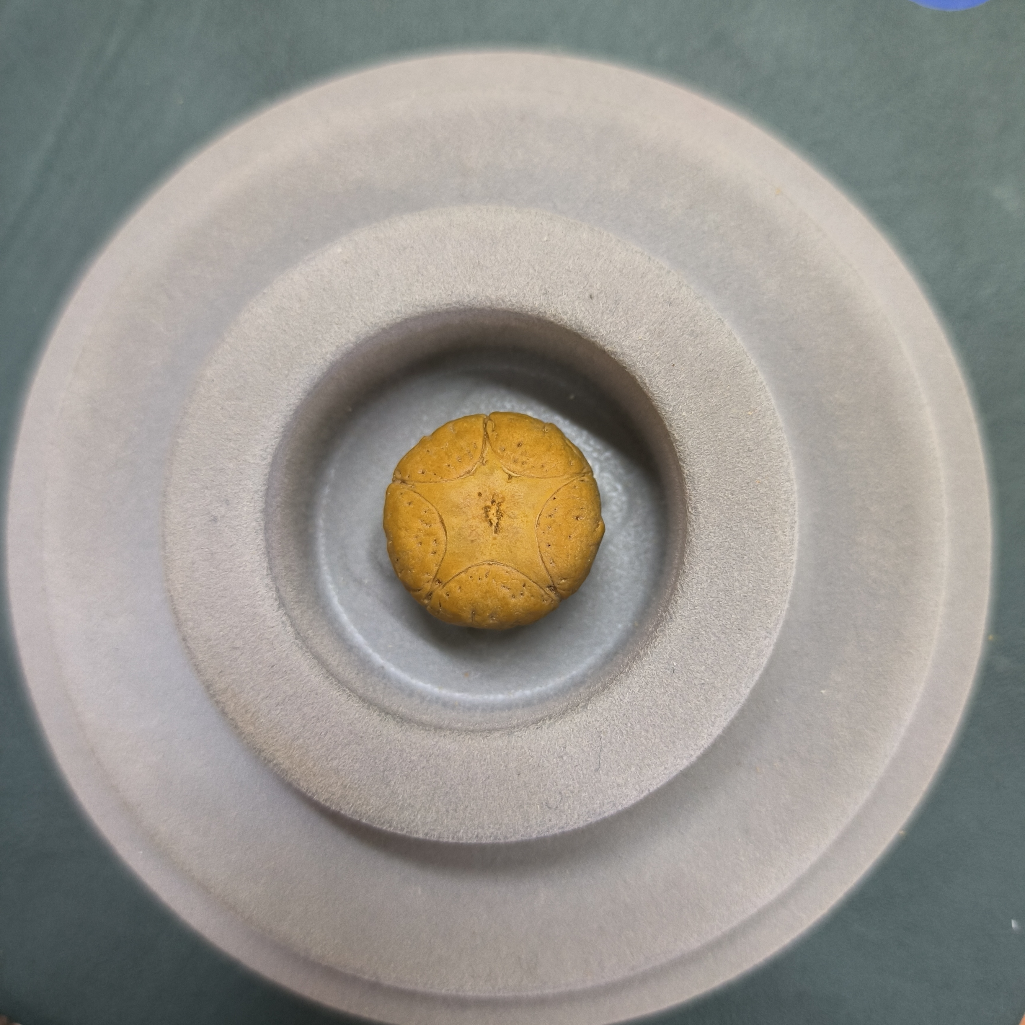 【WF520030】直径20毫米厚14mm尼泊尔凤眼菩提五星单颗吊坠