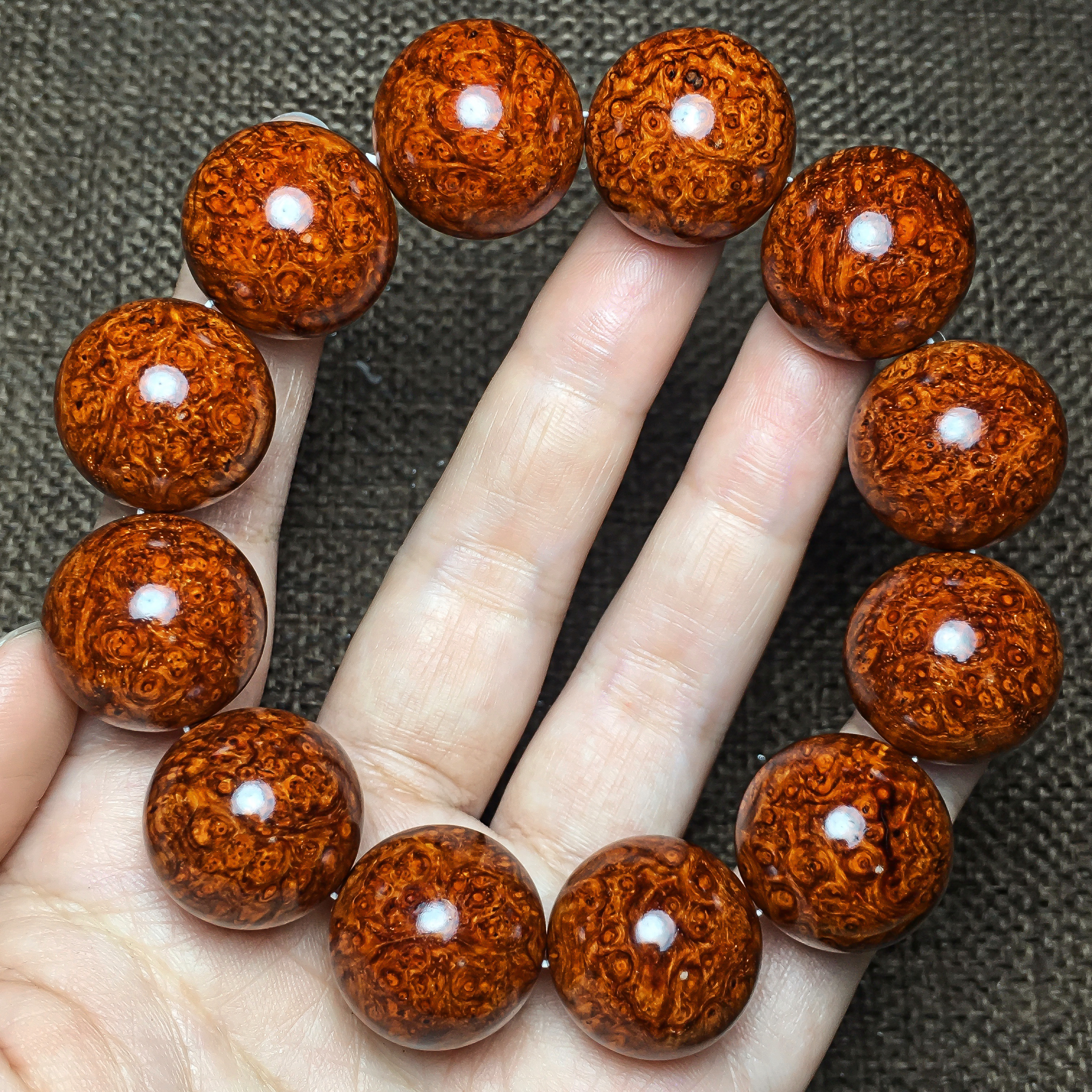 （瘤一刀）印度小叶紫檀爆满瘤疤老料20mm男士手串男女文玩男士手串