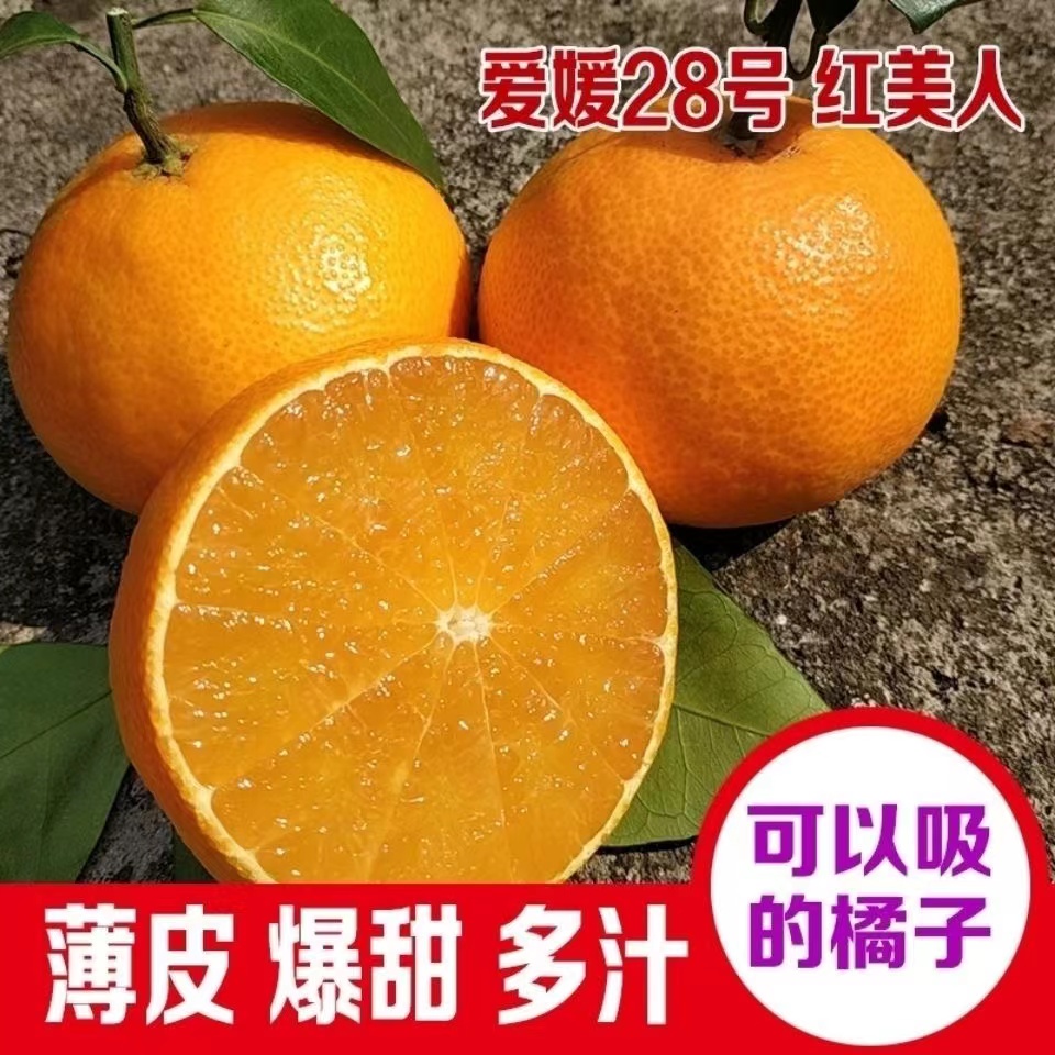 正宗红美人柑橘橘子爱媛28号果冻橙现摘发3.5两以上新鲜水果5斤8