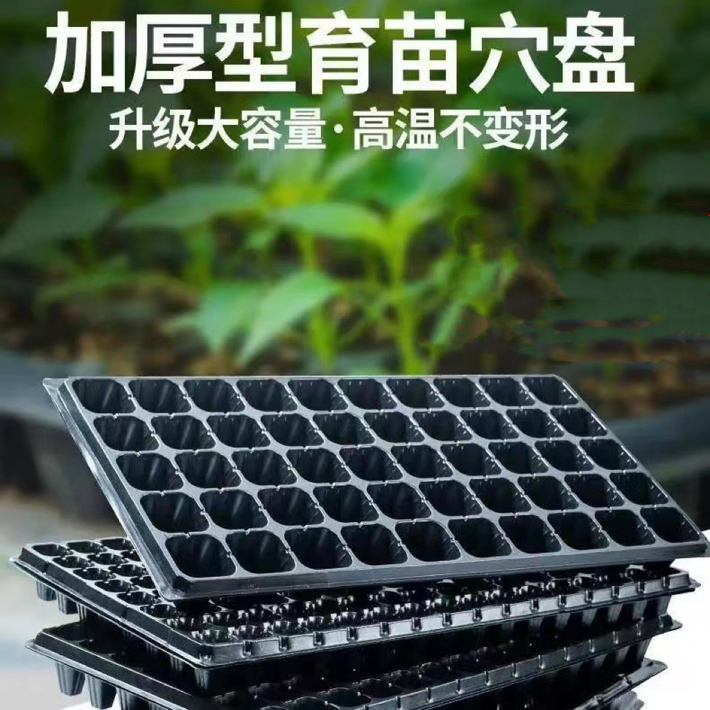 加厚优质育苗穴盘扦插蔬菜瓜果专用盘