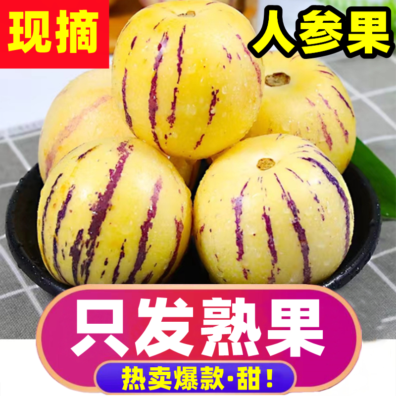 【开依】【黄肉超大果】云南石林人参果10斤大果新鲜人叁果水果七彩黄