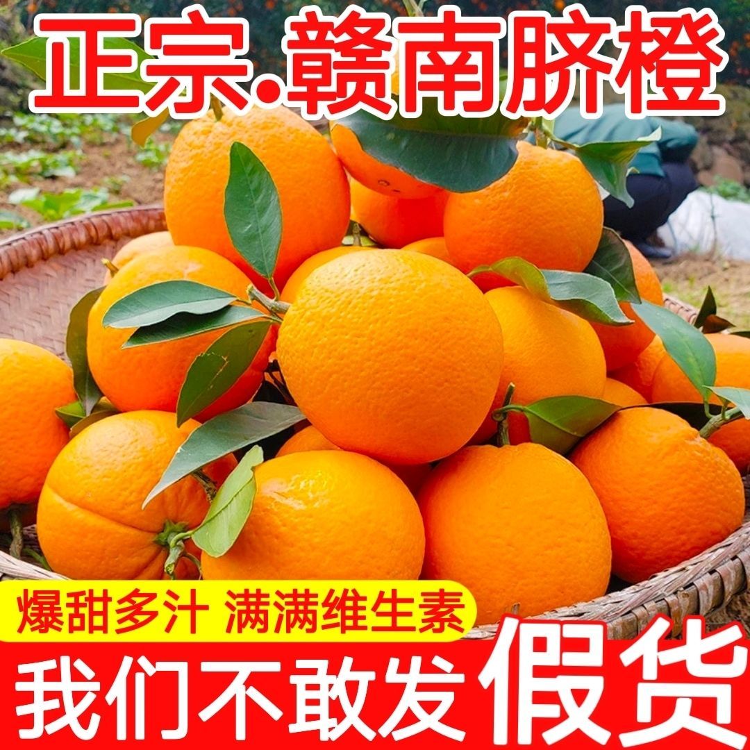 【进取】【正宗赣南脐橙】赣南橙原产地现摘发货现货饱满多汁大量维生