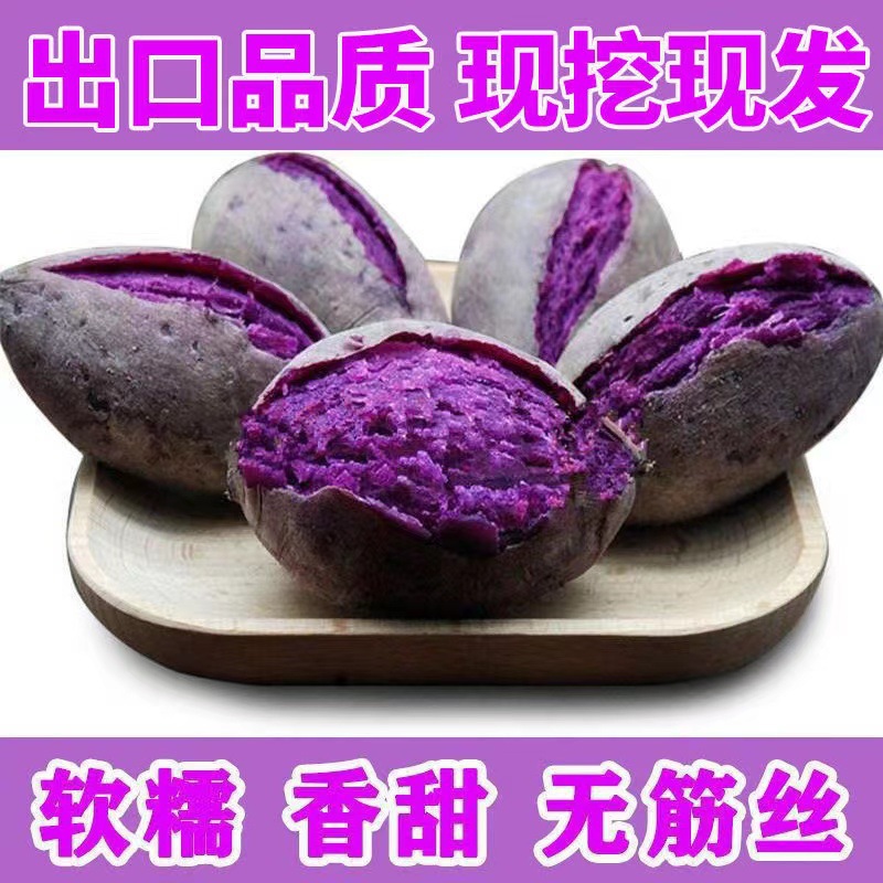 【进取】正宗紫罗兰紫薯香甜粉糯粉无筋丝辅食番薯新鲜现挖批发沙地