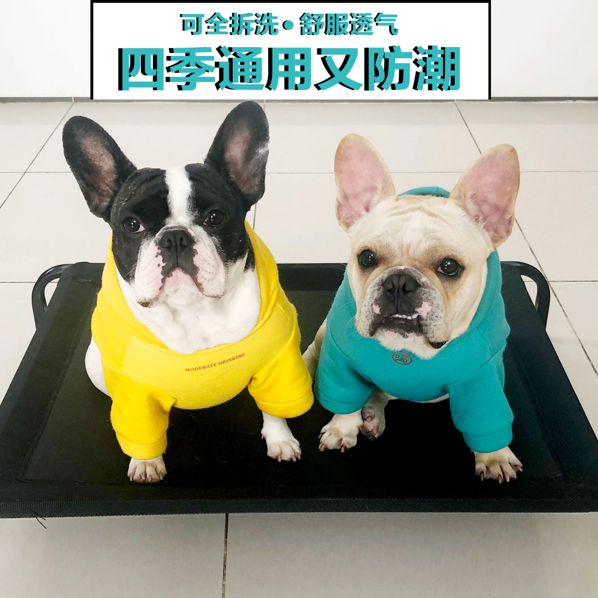 狗狗透气防潮不粘毛行军床四季通用宠物床小型犬中大型犬狗床