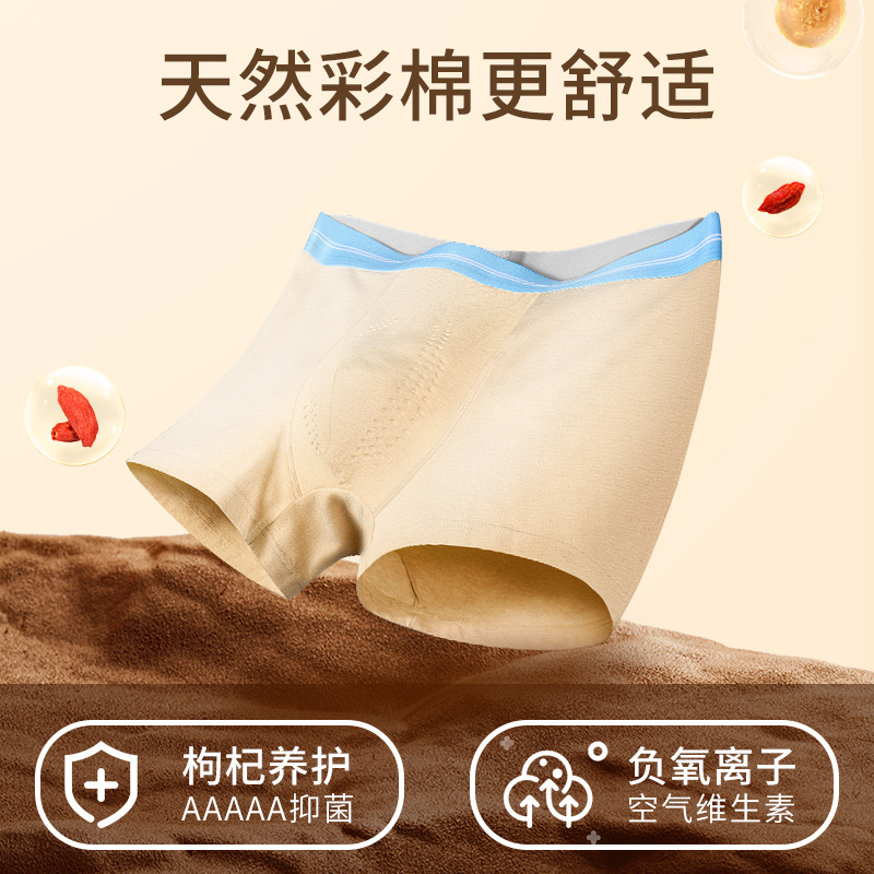 秋冬新款彩棉男士内裤纯棉中腰透气无痕抗菌男生短平角裤中山批发