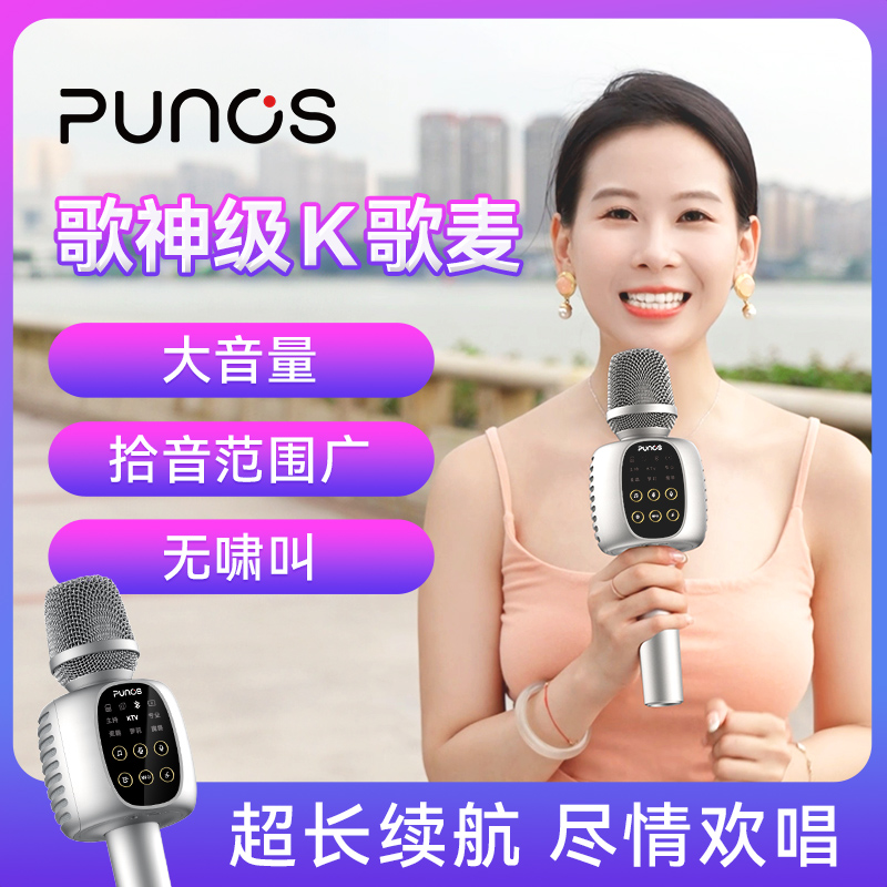 博浪沙话筒音响一体麦克风户外家用K歌无线音箱声卡唱歌KTV直播用