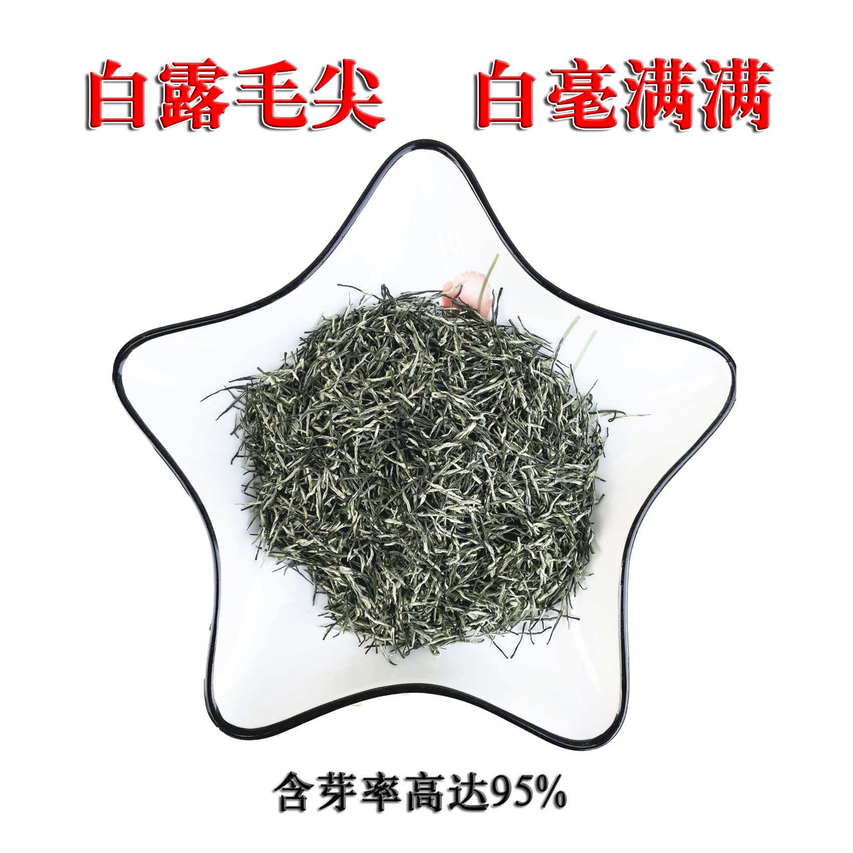 尊天福毛尖礼盒2025新茶 秋采白露浓香耐泡中等浓度含芽率95%