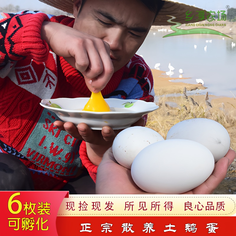 可孵化农家散养土鹅蛋新鲜双黄蛋营养丰富适合老人孕妇