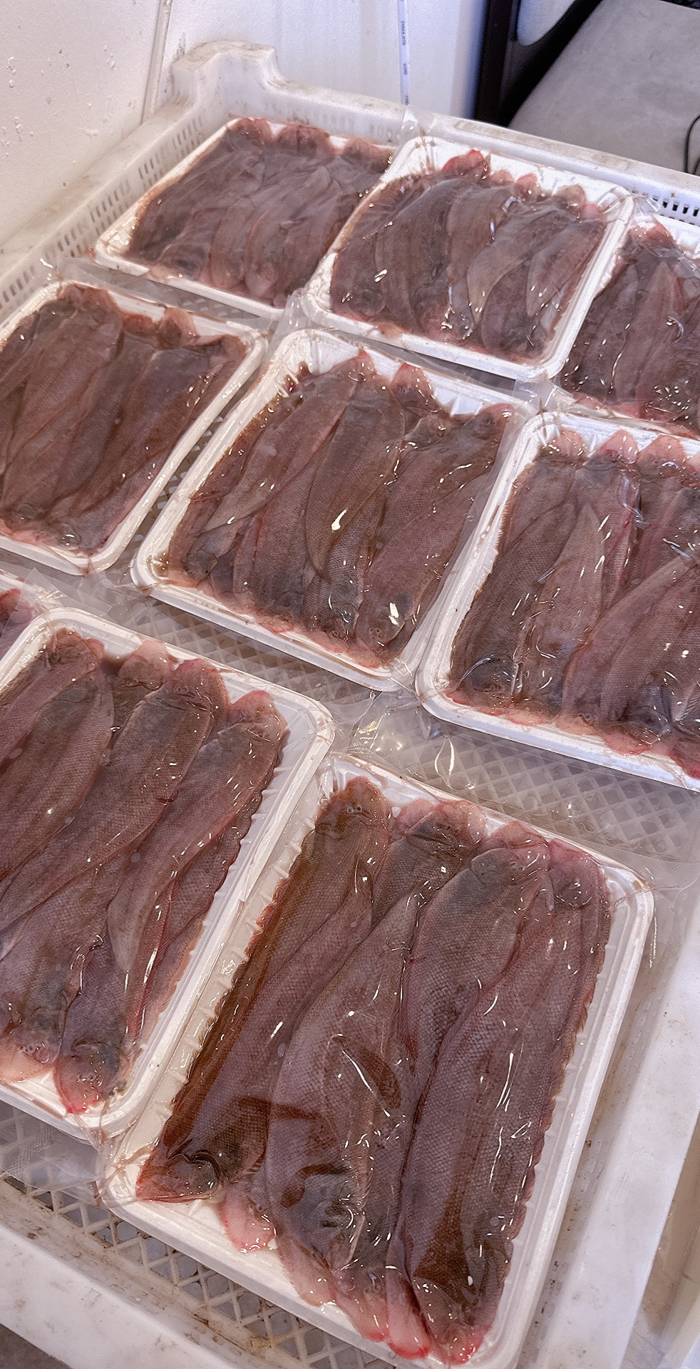 塔目尖 新鲜发货