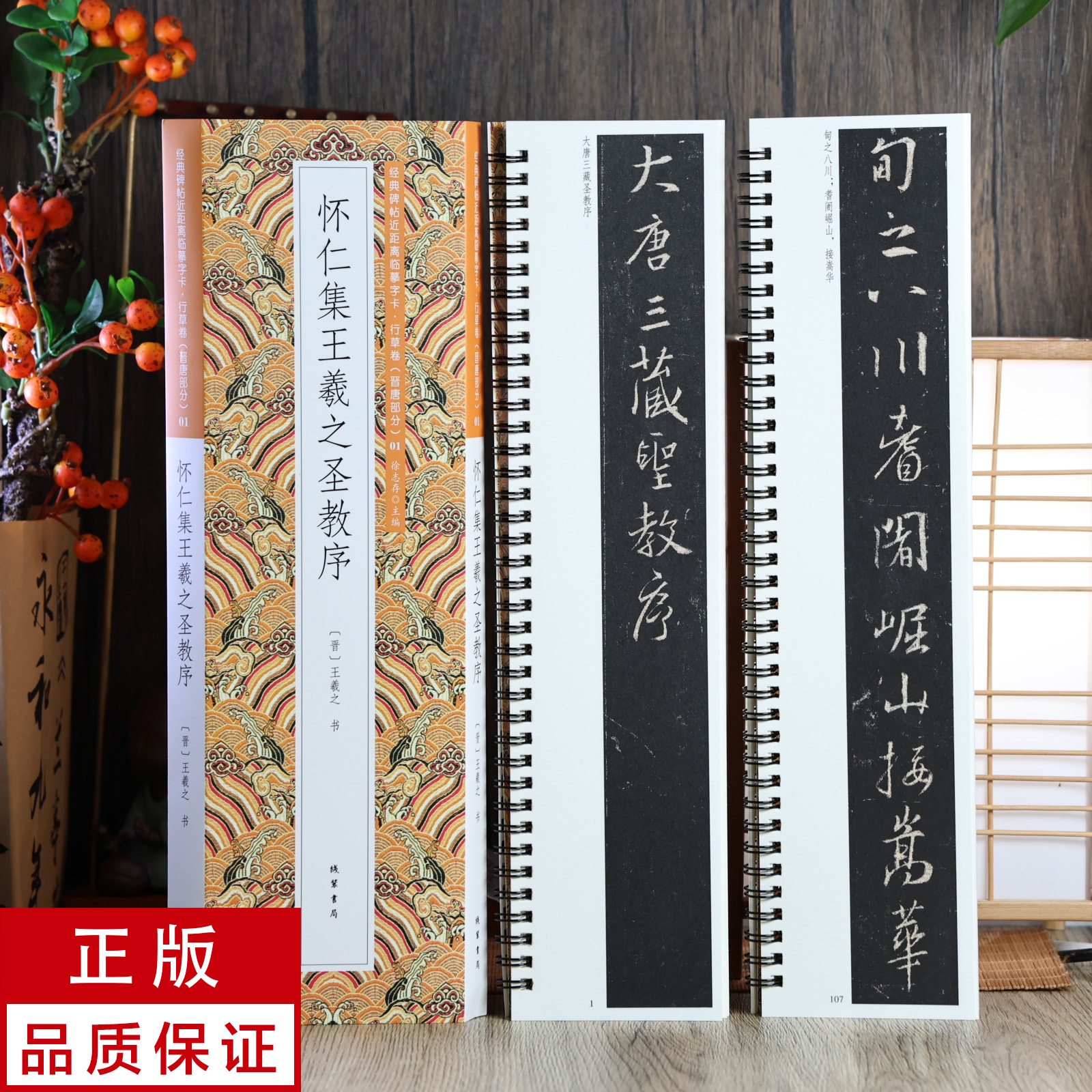 怀仁集王羲之圣教序2册 行书 静文轩近距离临摹字帖